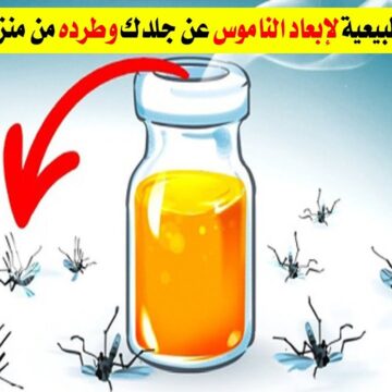 7 طرق فعالة للتخلص من الناموس والهاموش نهائيًا بدون أي مبيدات