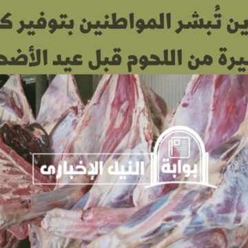 التموين تُبشر المواطنين بتوفير كميات كبيرة من اللحوم قبل عيد الأضحى المبارك في هذه المنافذ