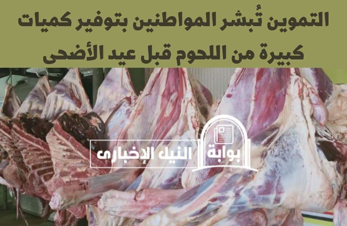 التموين تُبشر المواطنين بتوفير كميات كبيرة من اللحوم قبل عيد الأضحى المبارك في هذه المنافذ