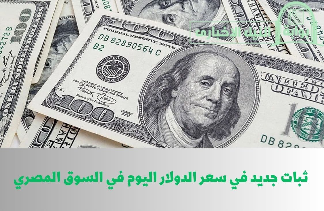 ماشي على الخط مظبوط .. ثبات جديد في سعر الدولار اليوم في السوق المصري