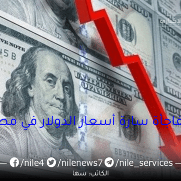 مفاجأة سارة أسعار الدولار في مصر استقرار يواصل السيطرة في ختام تعاملات الخميس