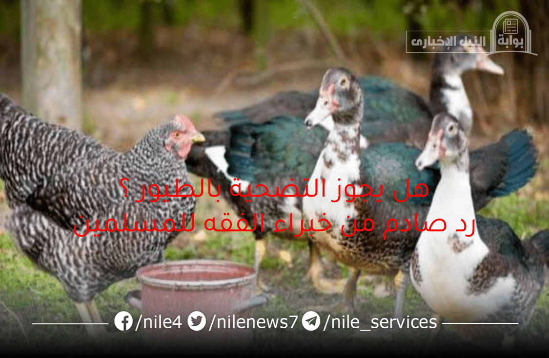 مفاجأة للمسلمين قبل عيد الأضحى خبير فقه يجيب هل يجوز التضحية بالطيور والرد صادم !!