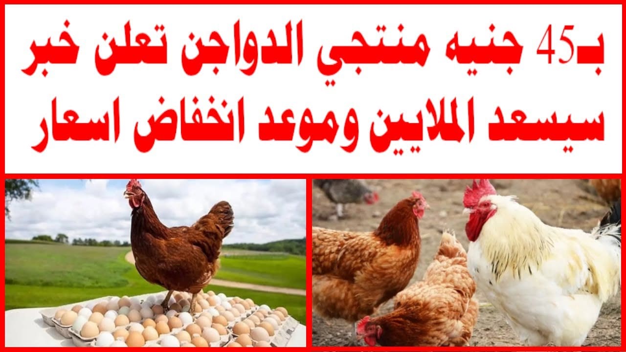 أسعار الدواجن اليوم