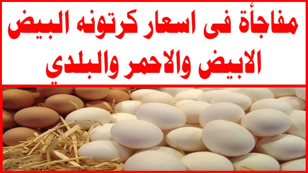 قفزة جديدة في أسعار كرتونة البيض الأحمر والأبيض بعد ارتفاع سعر الدواجن في السوق المصري