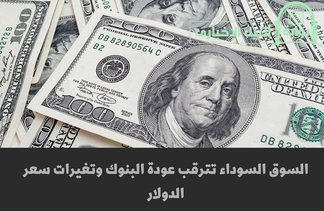 السوق السوداء تترقب عودة البنوك وتغيرات سعر الدولار في مصر بعد إجازة عيد الأضحى المبارك