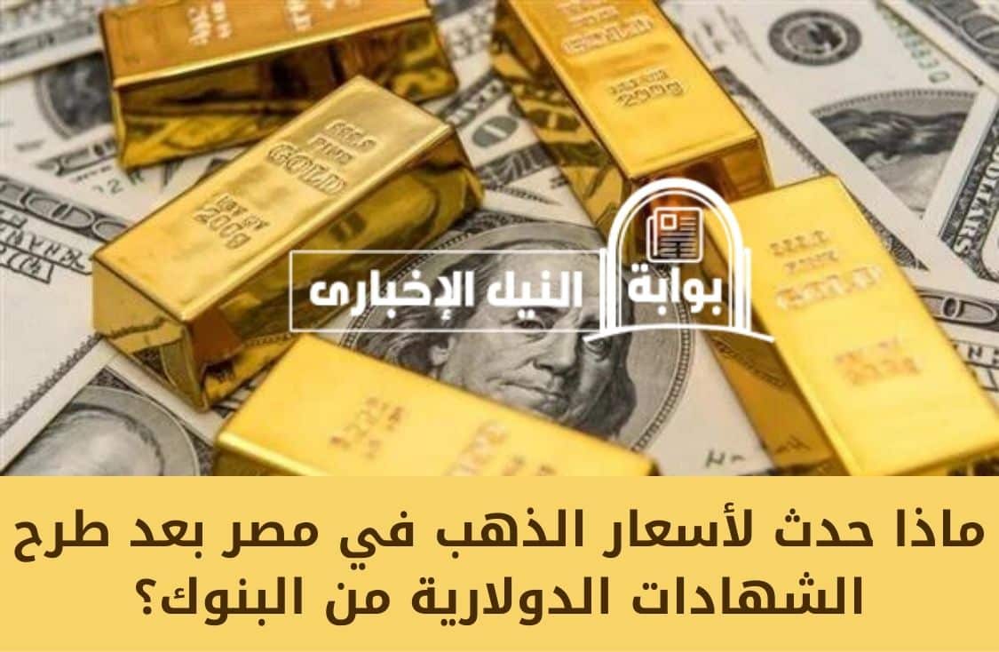 هبط 900 جنيه معقولة!! .. ماذا حدث لأسعار الذهب في مصر بعد طرح الشهادات الدولارية من البنوك؟