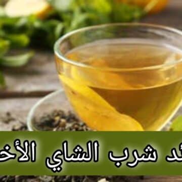 ما هي فوائد الشاي الأخضر للجسم .. وهل هناك اضرار لشرب الشاي الأخضر بكثرة.. المختص يجيب