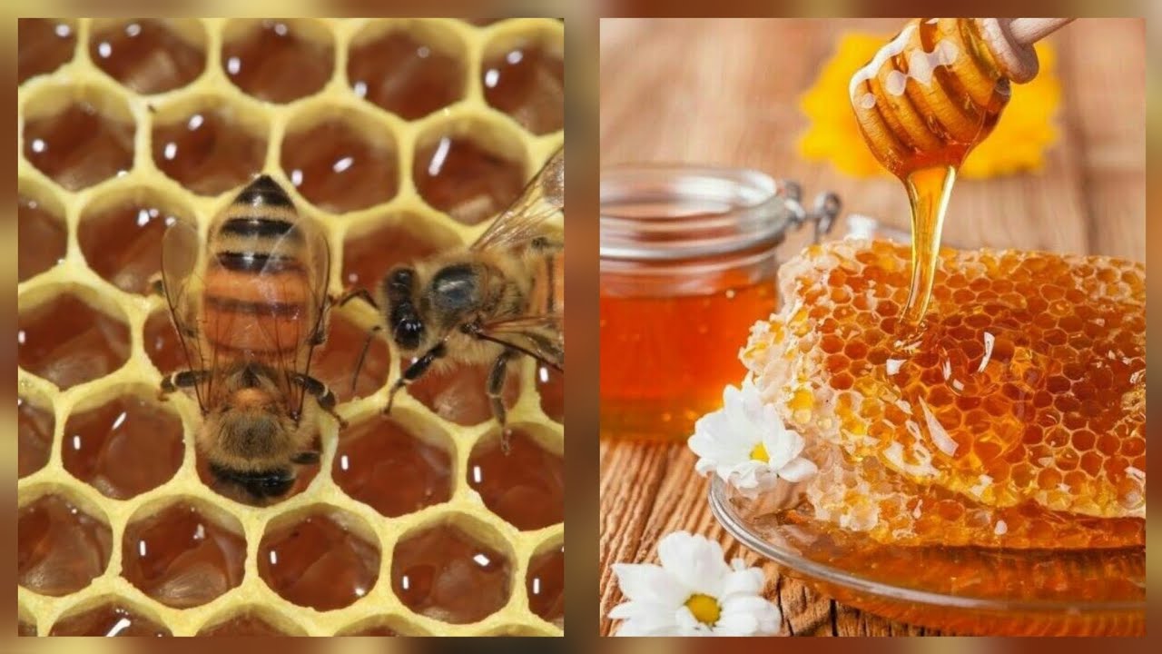 معجزة حقيقية.. معجزات عسل النحل الأبيض للبشرة ووصفات رائعة لبشرتك العسل أساسي فيها