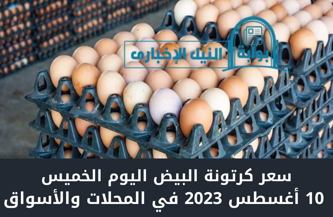 سعر كرتونة البيض اليوم الخميس 10 أغسطس 2023 في المحلات والأسواق