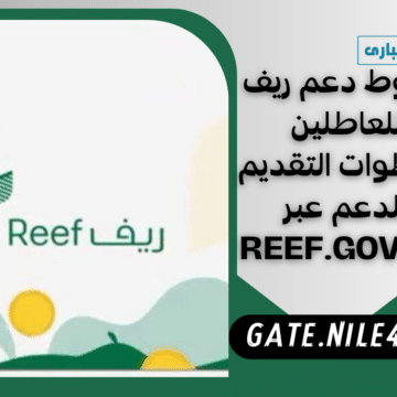 شروط دعم ريف للعاطلين وخطوات التقديم للدعم عبر reef.gov.sa