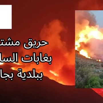 محدث بالارقام.. الحصيلة النهائية من وزارة الصحة الجزائرية لضحايا حريق غابات الساكت