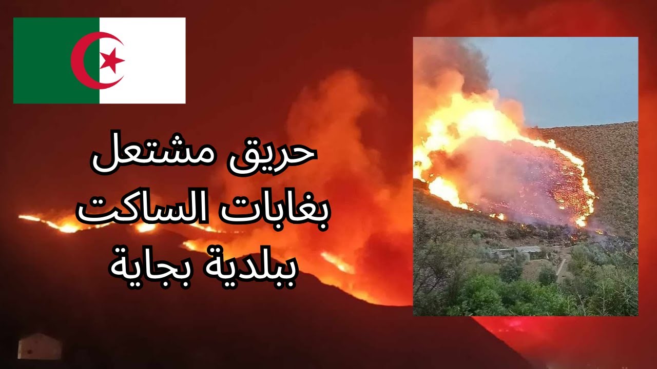 محدث بالارقام.. الحصيلة النهائية من وزارة الصحة الجزائرية لضحايا حريق غابات الساكت
